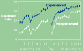 Experience equals greater intake