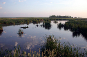 a prairie pothole, one of the many types of wetlands